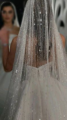 the back of a woman's wedding dress with beaded veil on her head