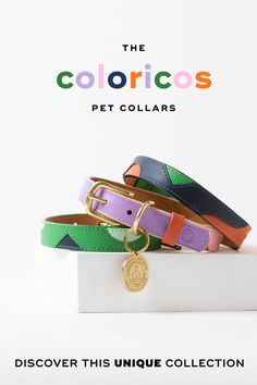 Colorful leather Dog Collars with gold hardware Trendy Dog Collar, Dog Accessories Packaging, Dog Collar Product Photography, Pets Aesthetic, Unique Tapestry, Pet Magazine, Unique Dog Collars