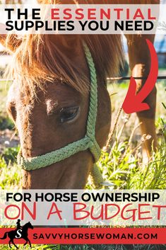 a brown horse grazing on grass with the words how to choose the essential supplies you need for