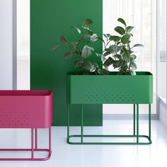 two planters with plants in them sitting next to each other on metal stands against a green and pink wall