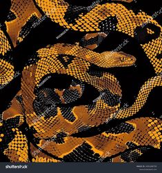 an orange and black snake pattern on a black background stock photo - 539782