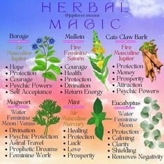 Astro Travel, Magical Intentions, Witchy Knowledge, Witchy Plants, Spell Components, Herb Book, Magickal Correspondences, Herbs For Protection, Witch Woman