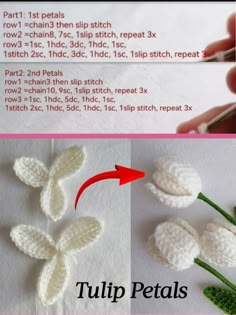 crocheted flowers are shown with instructions for how to make them look like they're