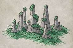 a drawing of trees in the middle of a forest