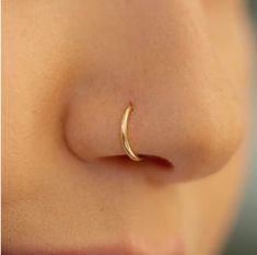 a close up view of a nose with a gold nose ring on it's side