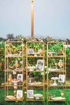 an outdoor wedding with gold shelving and pictures on the grass in front of it