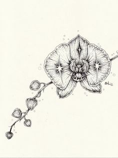 Shhh Tattoo, Stippling Tattoo, Orchid Drawing, Negative Space Tattoo, Cute Thigh Tattoos, Orchid Tattoo, Stippling Art, Favorite Flower, Moms Favorite