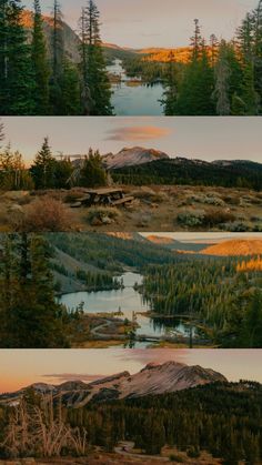 three different views of trees and water in the wilderness at sunset or dawn, with mountains on either side