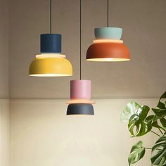 three different colored lights hanging from the ceiling above a table with two potted plants