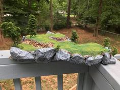 moss covered rocks and trees on a deck