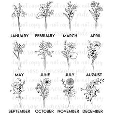 the months of flowers stamp set