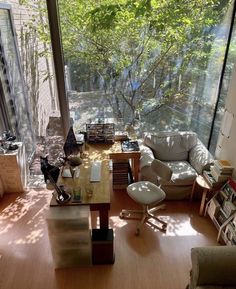 a living room filled with furniture and lots of windows next to a wooden floor covered in plants