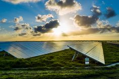 the sun shines brightly behind several solar panels in an open field with green grass