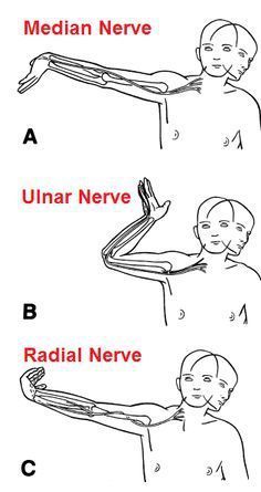 Punkty Spustowe, Radial Nerve, Ulnar Nerve, Median Nerve, Acupressure Mat, Yoga Iyengar, Hand Therapy