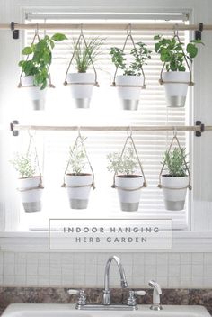 a kitchen sink under a window with potted plants hanging from it's side