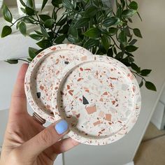 a hand holding two plates in front of a potted plant