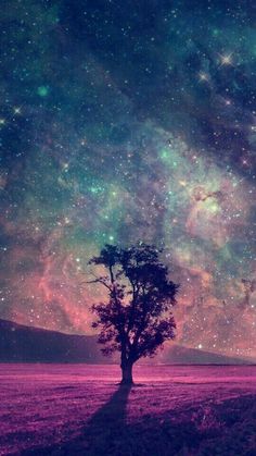 a lone tree stands in the middle of a field under a night sky filled with stars