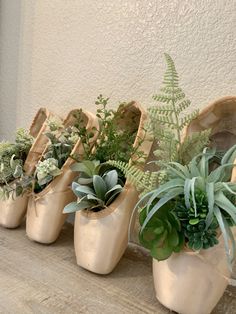 a row of potted plants sitting on top of a wooden table