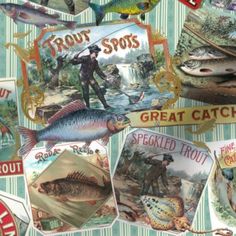 an image of fish and fishermans collage