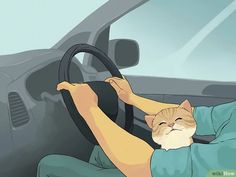 a cat sitting in the driver's seat of a car with its head on the steering wheel