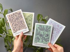 three cards with different designs on them being held by two hands next to a potted plant