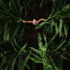 a person standing in the middle of some plants