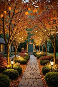 an outdoor walkway surrounded by trees and bushes with lights strung from the branches above it