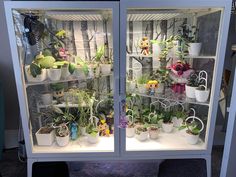 a display case filled with lots of potted plants and stuffed animals on top of them