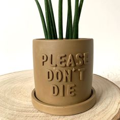 Le cache pot kaki Iris accompagné de sa coupelle assortie est un objet déco original à offrir ou à s'offrir. Fabriqué artisanalement, avec son inscription « Please don't die », le cache pot fait main kaki ajoutera une touche de couleur tendance à votre intérieur.Autres coloris disponibles ici. Chaque cache-pot est disponible en un seul et unique exemplaire. L’objet que vous voyez en photo est celui que vous commandez.Il est vendu seul. Composition : Jesmonite, colorant jesmonite, imperméabilisantDimensions : Hauteur 8,5 cm • Largeur 9,5 cm • Profondeur 9,5 cm / Diamètre pour une plante : 7 cm maximumPoids : ~280g Informations : Les cache-pots décoratifs Maison Siana sont réalisés à la main en jesmonite, un matériau écologique, résistant et léger. Ils sont imperméabilisés pour les protéger Clay Plant Pots, Deco Originale, Cache Pot, Green Rooms, Clay Pot, Plant Mom, Clay Pots, Clay Projects, Crafts To Do