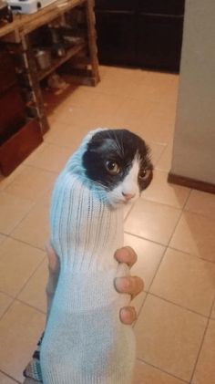 a black and white cat is wrapped up in a pair of socks while being held by someone's hand