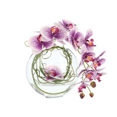 an arrangement of purple orchids in a glass vase