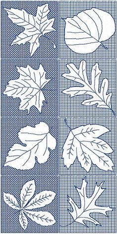 an image of leaves on a blue and white background