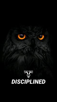 an owl with orange eyes and the words disciplined on it's face