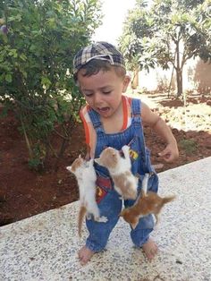 a young boy holding two kittens in his hands and looking at the camera while wearing overalls