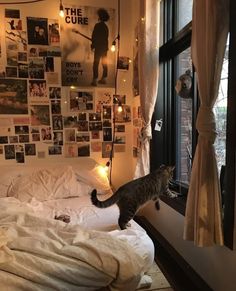 a cat standing on top of a bed in a bedroom next to a large window