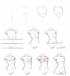 an image of how to draw female torsos with different angles and positions for each body