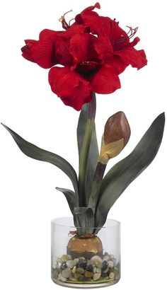 a red flower in a glass vase filled with rocks and pebbles on a white background