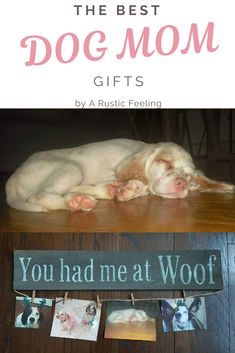 a dog laying on top of a wooden floor next to a sign