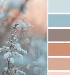 the color palette is pale, blue, and brown with some white flowers in it