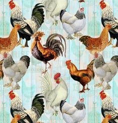 a group of chickens and roosters on a blue striped background with white, black, red