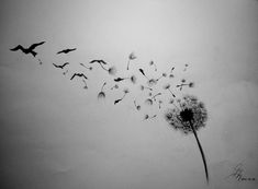 a dandelion with birds flying around it