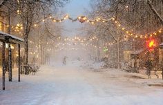 a black and white photo of a snowy street with lights strung from the trees on both sides