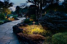 a pathway lit up at night in the garden