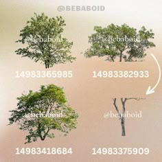 four different types of trees with numbers on them