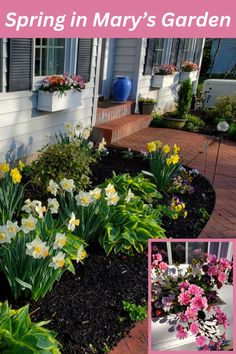 spring gardening Planting Garden, Relaxing Places, Acer Palmatum, Window Box