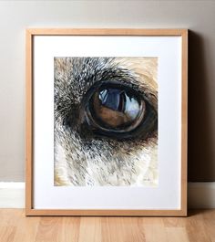 Zoomed in watercolor painting of a Labrador Retriever's eye. Tapetum Lucidum, Eye Painting, Labrador Retrievers