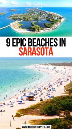 9 Epic Beaches in Sarasota Sarasota Florida Beach, Madeira Beach Florida, Sarasota Beach, Florida Vacation Spots, Beach Turtle, Florida Beaches Vacation, Siesta Beach, Siesta Key Florida, Funchal Madeira