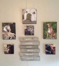 there are many pictures on the wall with dogs and words below them that spell out their names