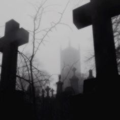 black and white photograph of crosses in graveyard