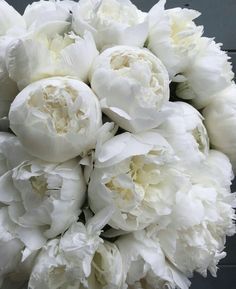 a bouquet of white flowers sitting on top of a table